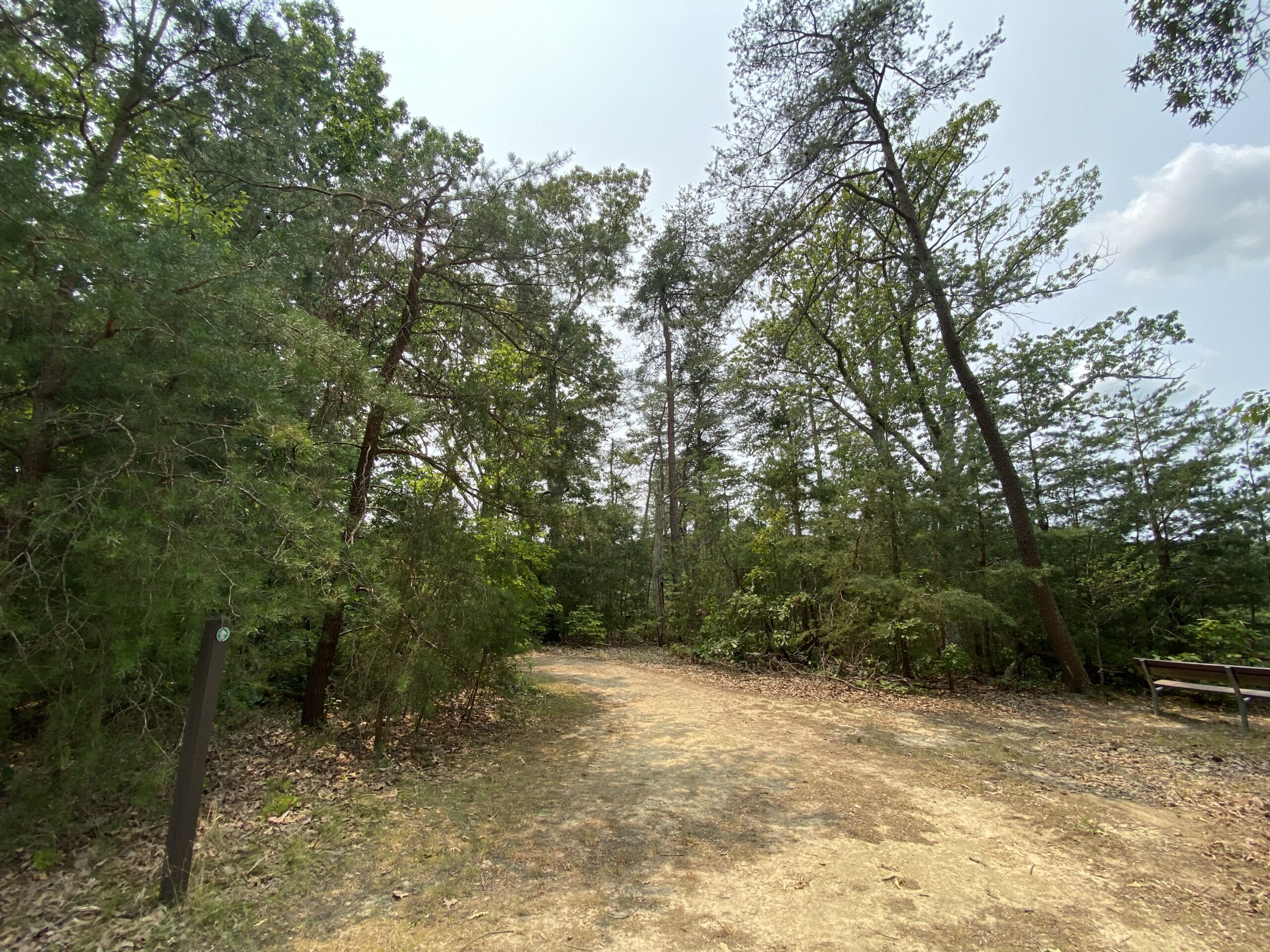 Mixed forest (Matt McIntosh/NOAA)