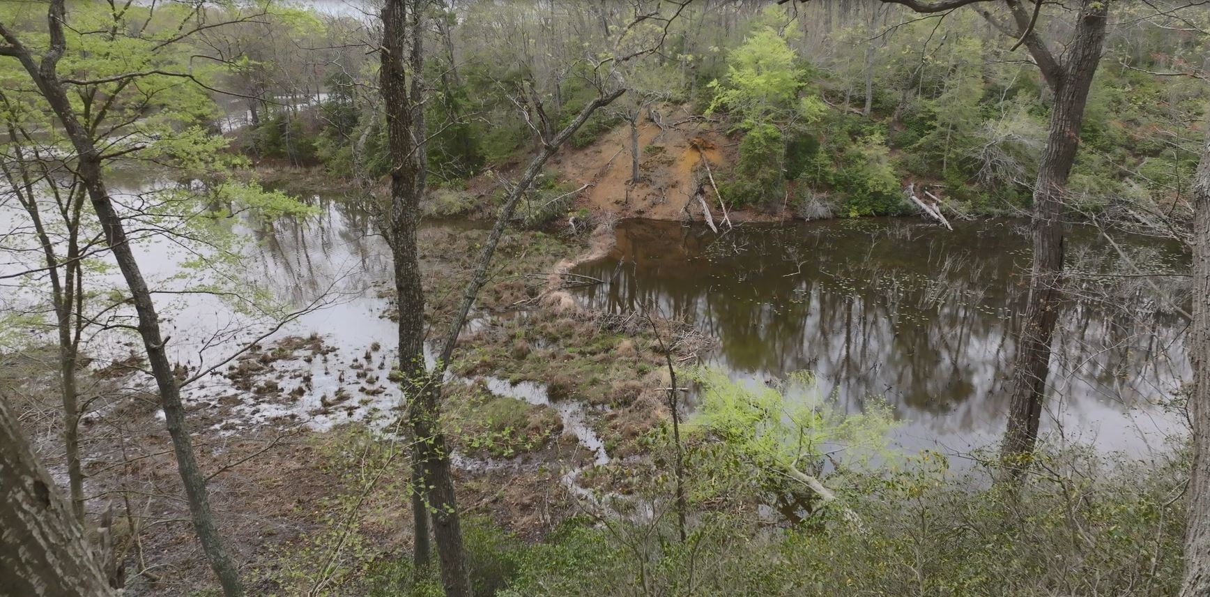 The dam, made of sticks, grasses, and mud, blocks the flower of water and creates a shallow pond (Matt McIntosh/NOAA).