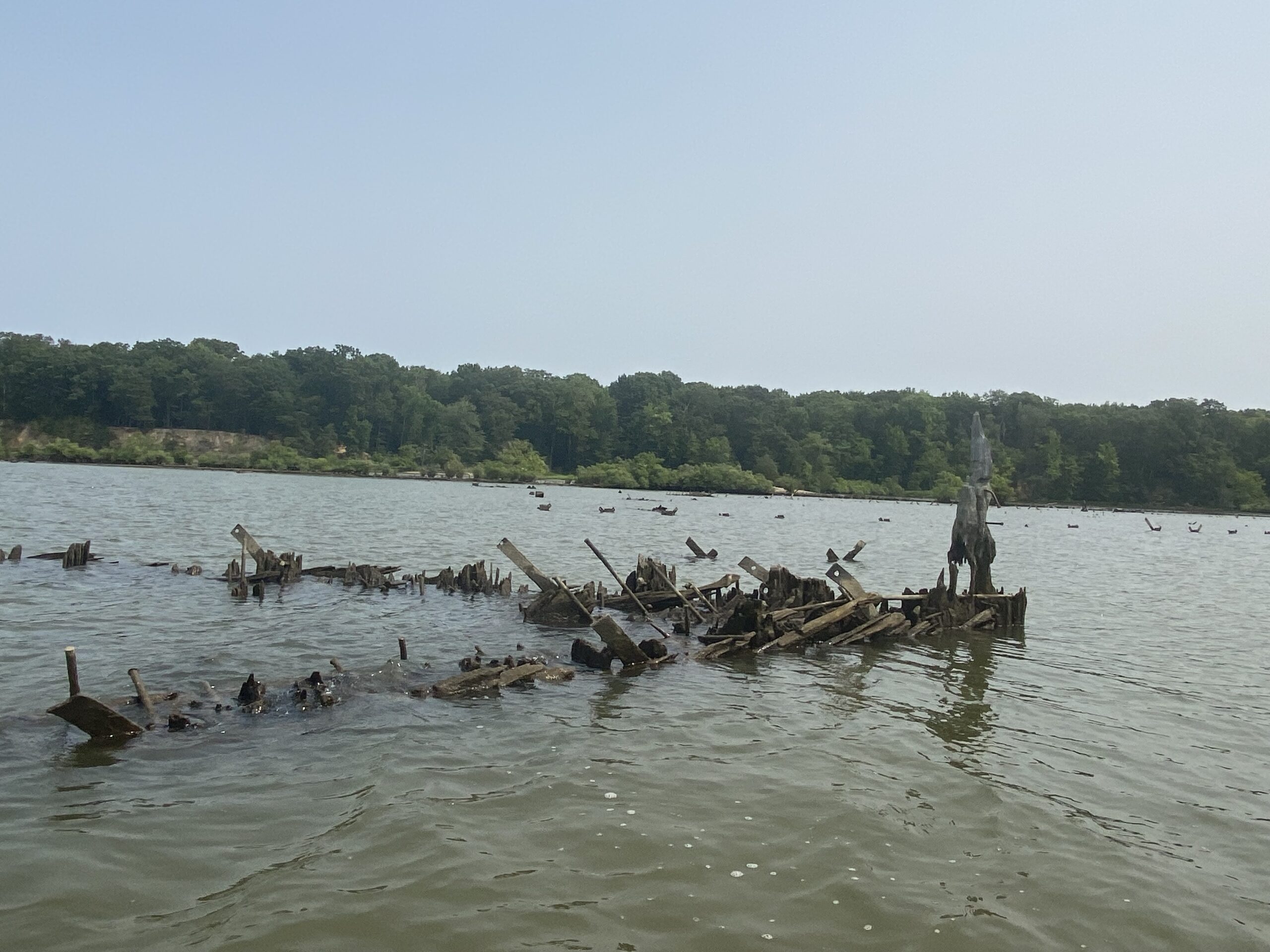 Alanthus/Postage Stamp Wreck