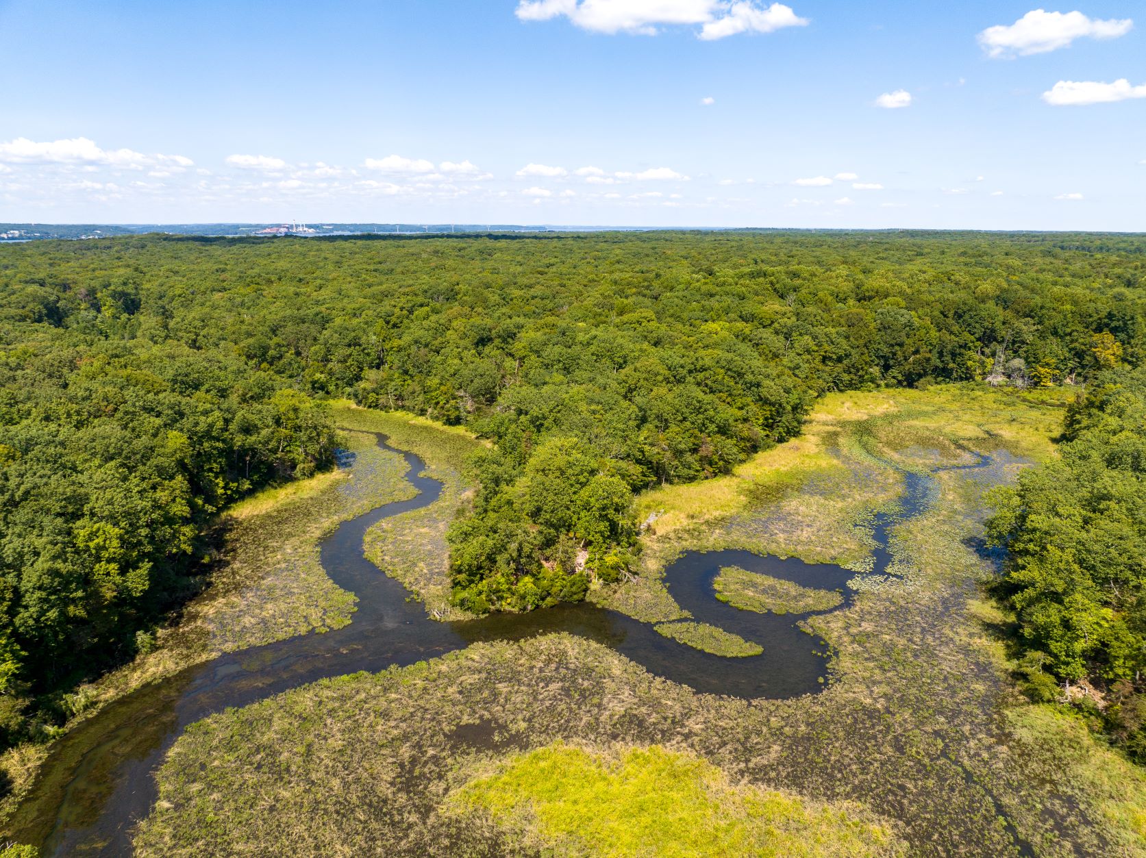 image of Marlow Creek