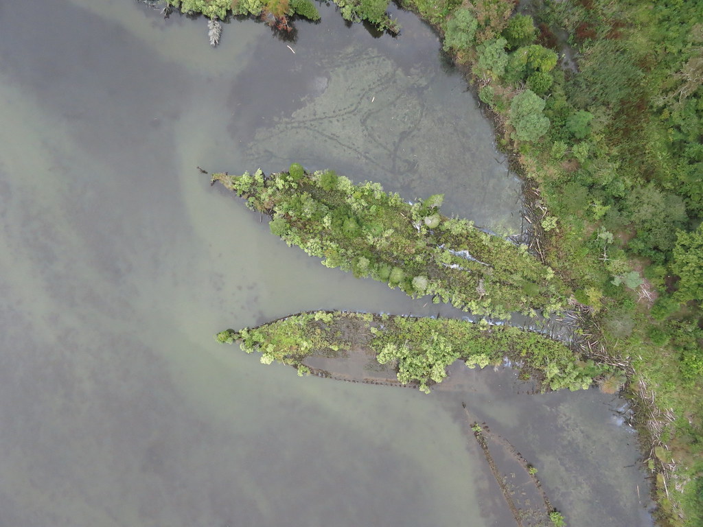 image of Flowerpot Wrecks