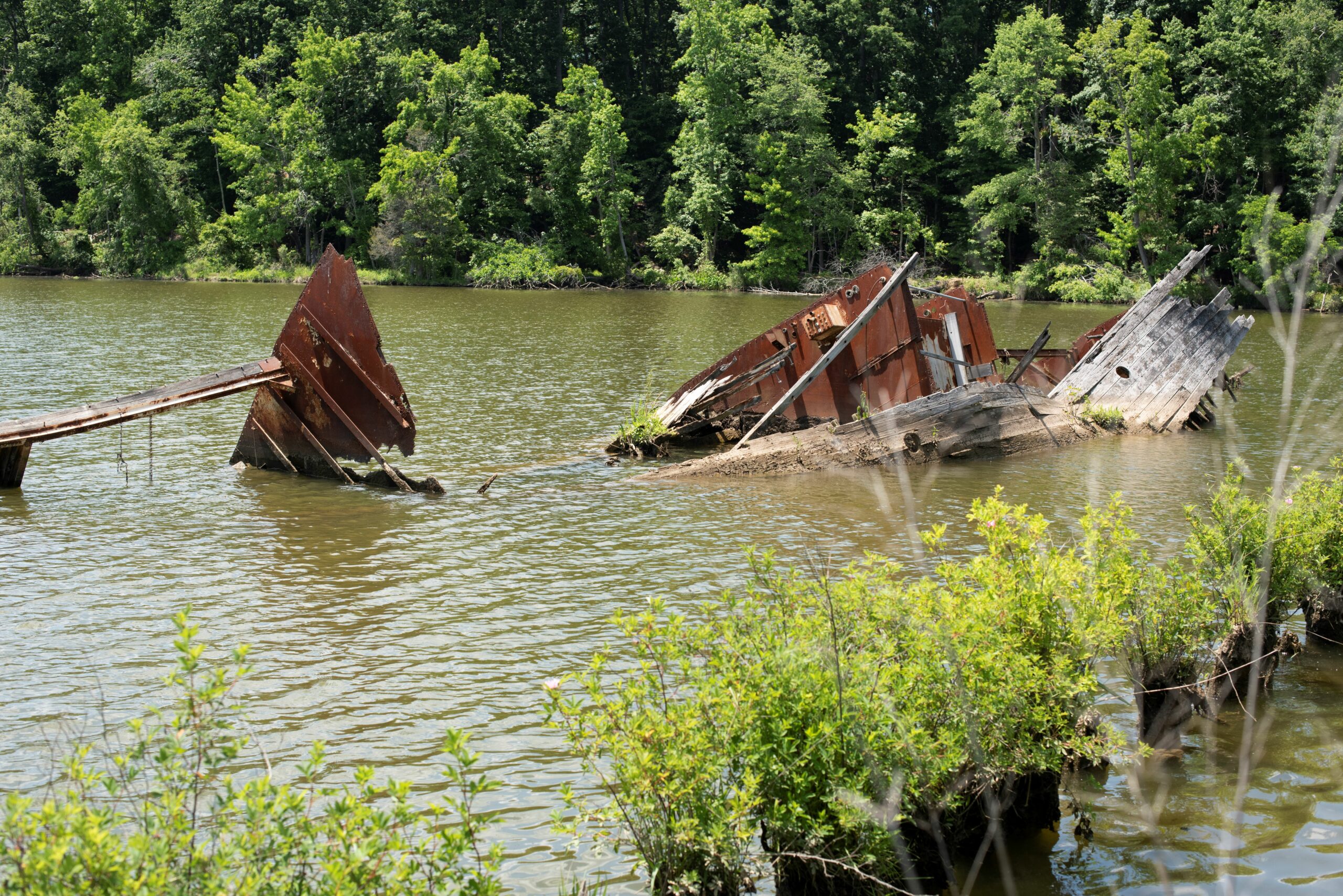 Sea Scout Wreck